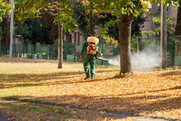 Pest Prevention Services in Ord, NE